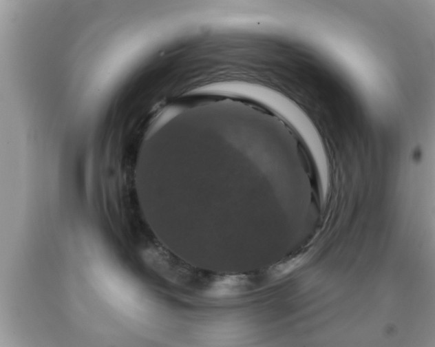 X0000091960382200709131232