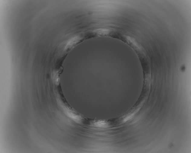 X0000091960383200709131232