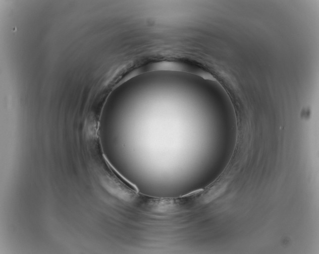 X0000091960384200709131232