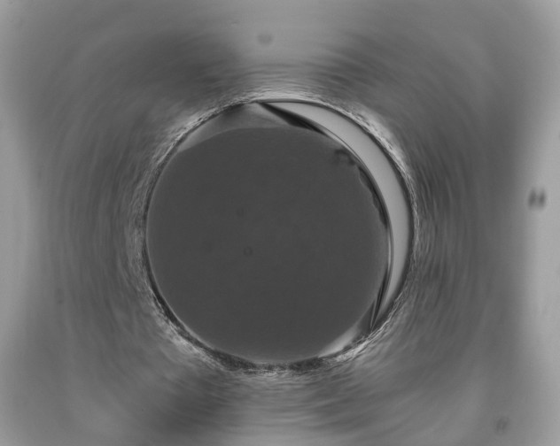 X0000091960385200709131231