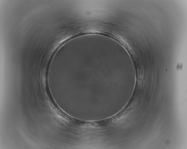 X0000091960386200709131231