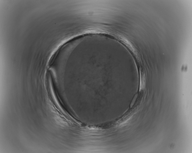 X0000091960387200709131231