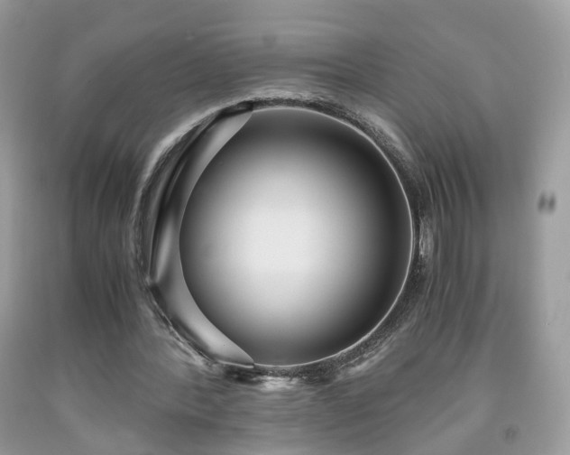 X0000091960388200709131231