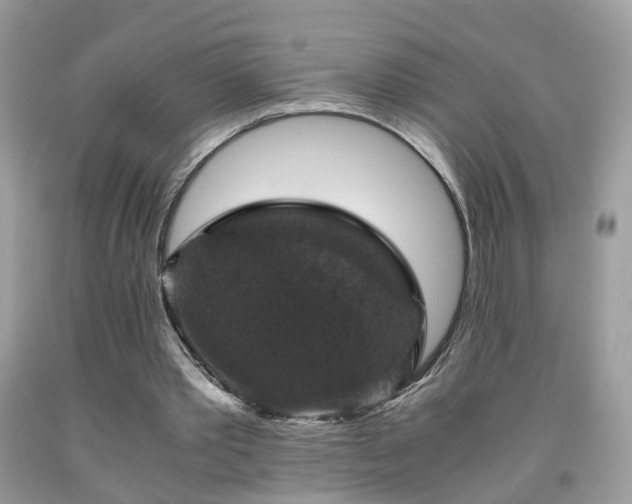 X0000091960389200709131231