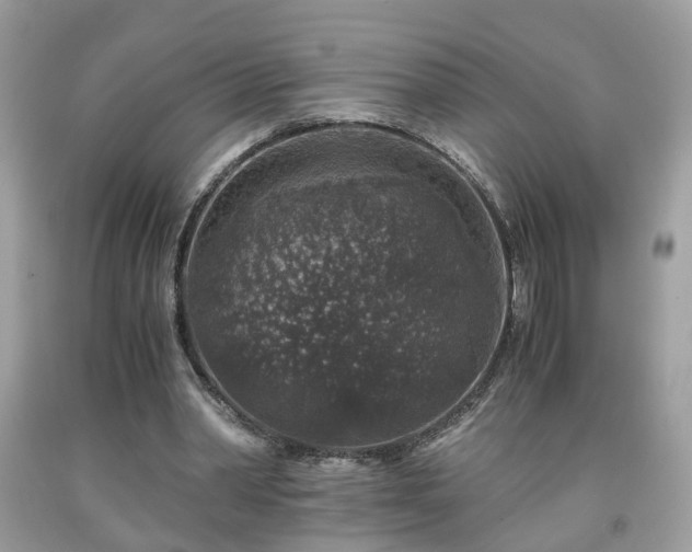 X0000091960390200709131231