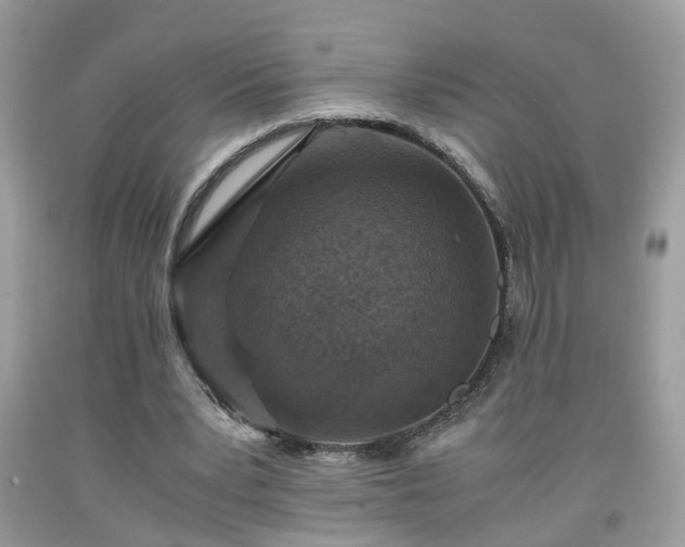 X0000091960391200709131231