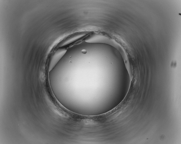 X0000091960392200709131231