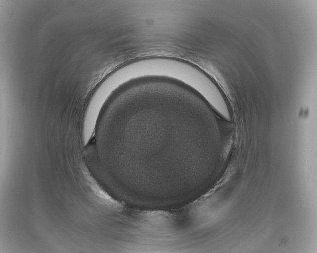 X0000091960393200709131231