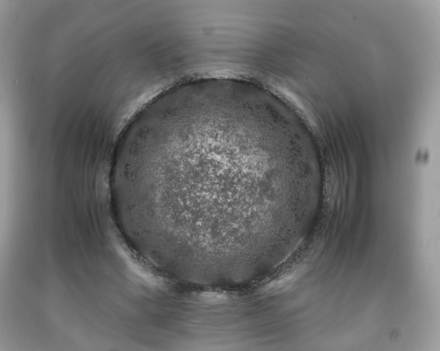 X0000091960394200709131231