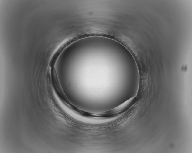 X0000091960395200709131231