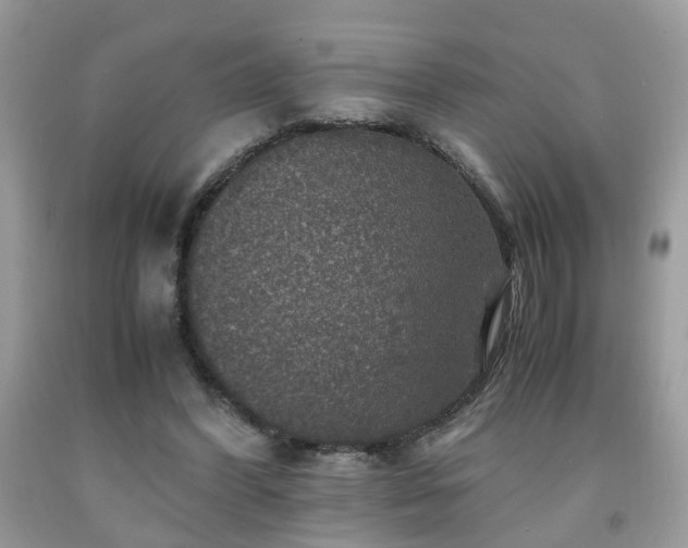 X0000091960396200709131231