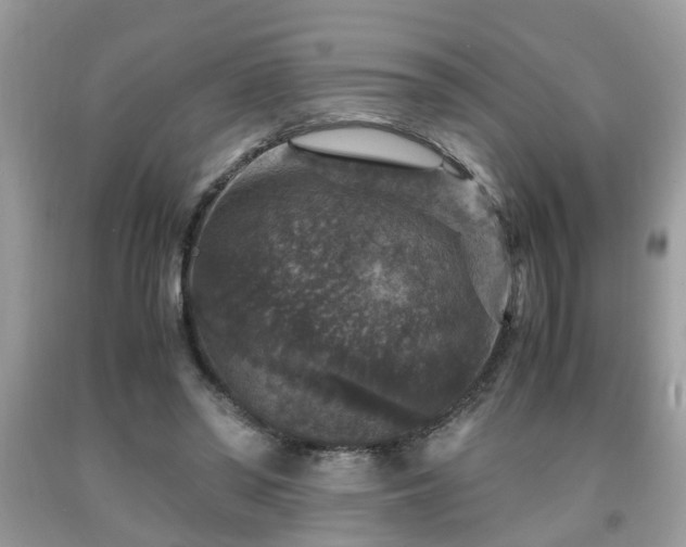 X0000091960398200709131231