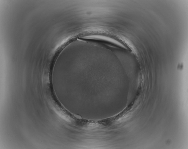 X0000091960399200709131231