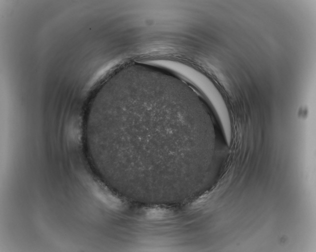 X0000091960400200709131231