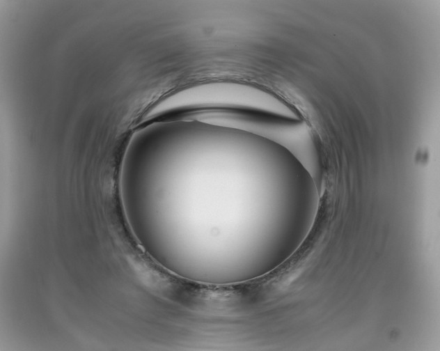 X0000091960401200709131231