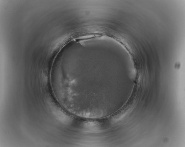 X0000091960402200709131231