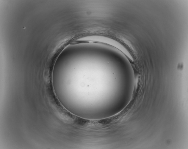 X0000091960403200709131231