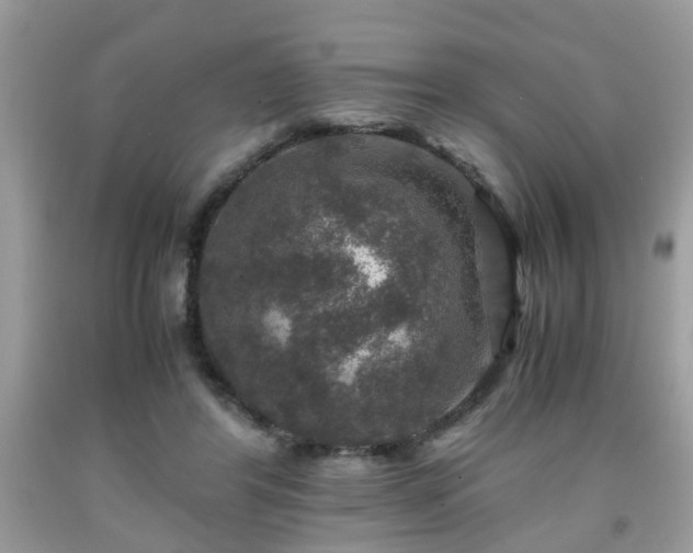 X0000091960404200709131231