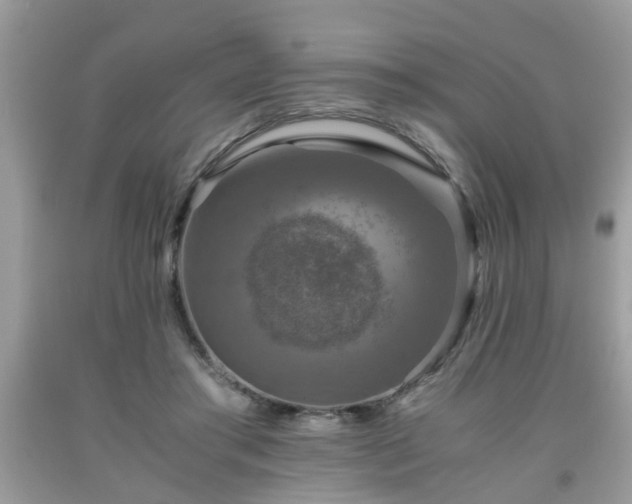 X0000091960405200709131231