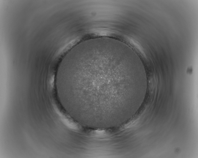 X0000091960406200709131231