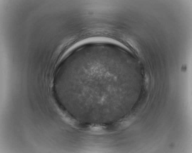 X0000091960407200709131231