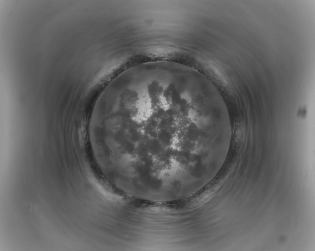 X0000091960408200709131231