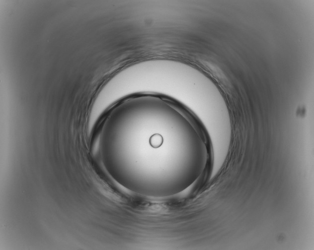 X0000091960409200709131231