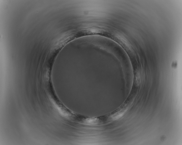 X0000091960410200709131231