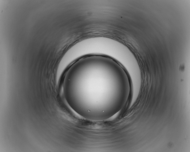 X0000091960412200709131231