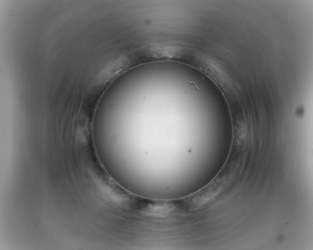 X0000091960414200709131231