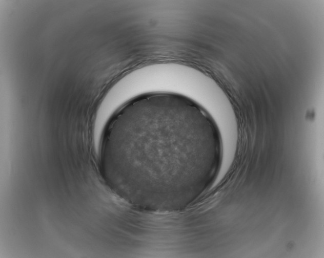 X0000091960416200709131231