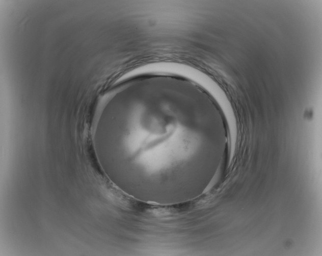 X0000091960417200709131231