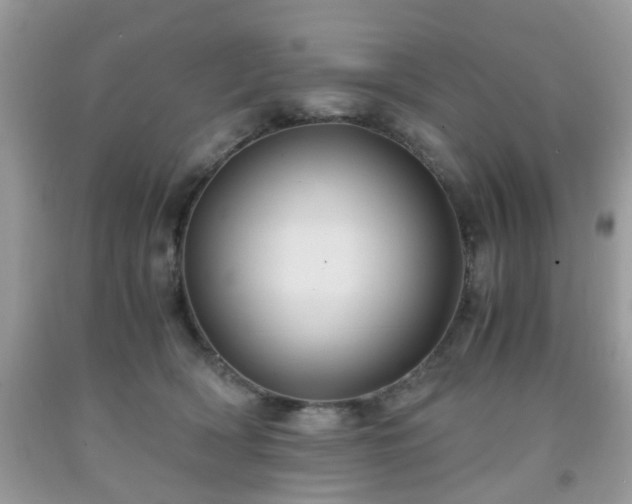 X0000091960418200709131231