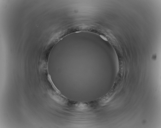 X0000091960419200709131231