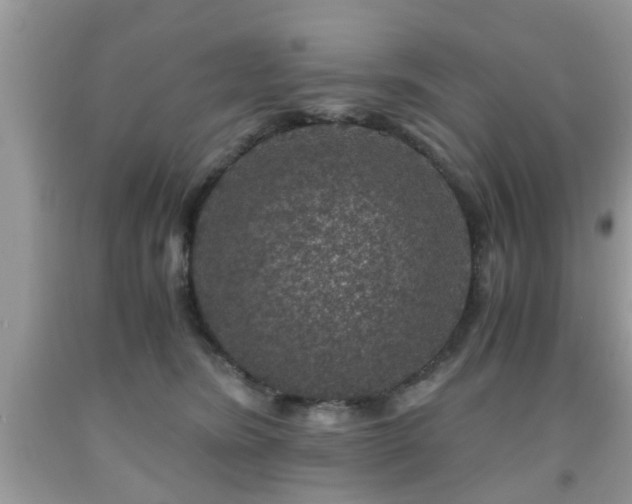 X0000091960420200709131231