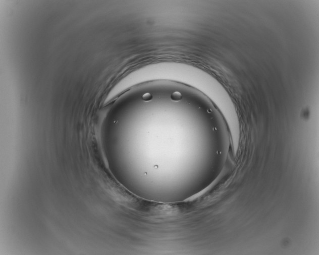 X0000091960421200709131231