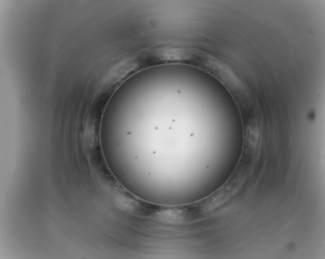 X0000091960422200709131231