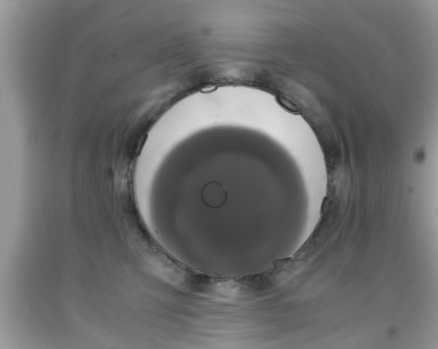 X0000091960423200709131231