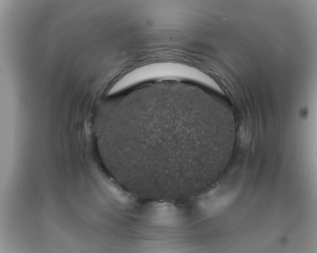 X0000091960424200709131231