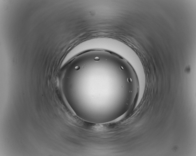 X0000091960425200709131231