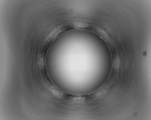 X0000091960426200709131231