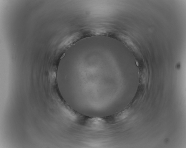 X0000091960427200709131231