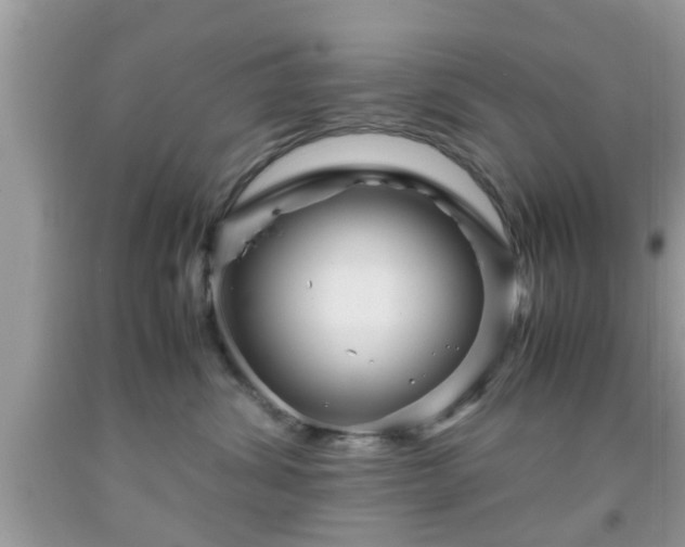 X0000091960428200709131231