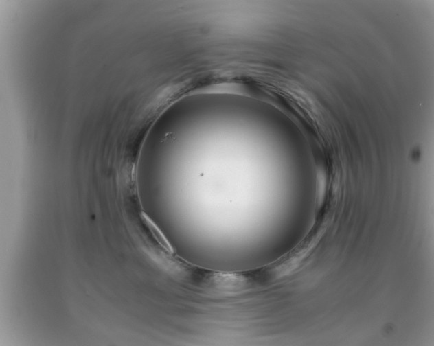 X0000091960429200709131231