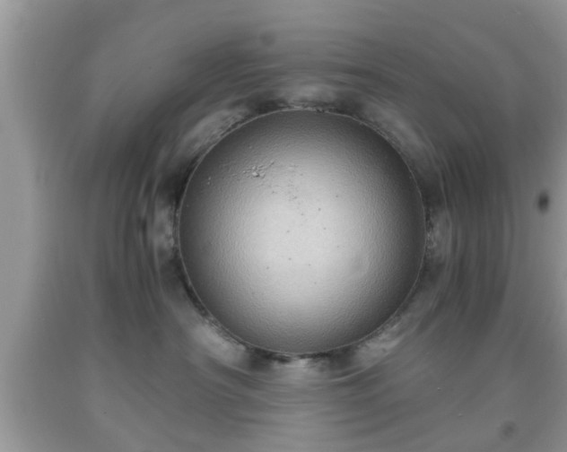 X0000091960430200709131231