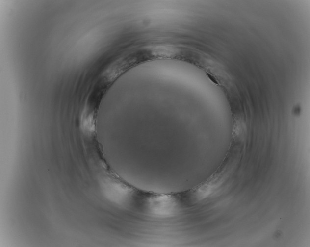 X0000091960431200709131231