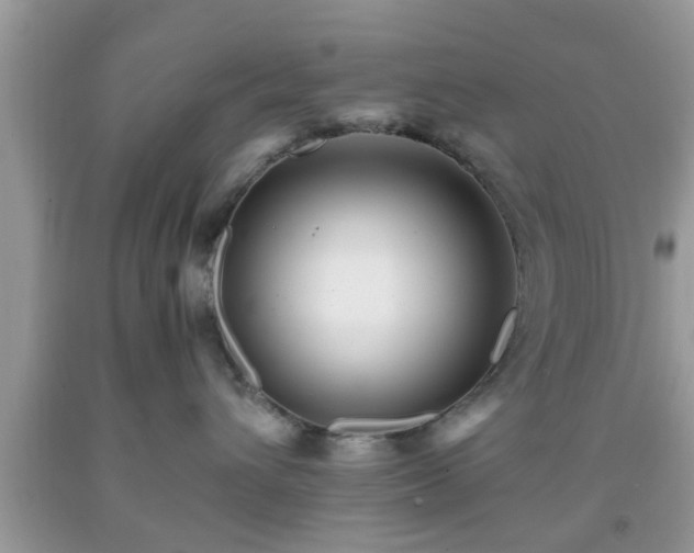 X0000091960432200709131231