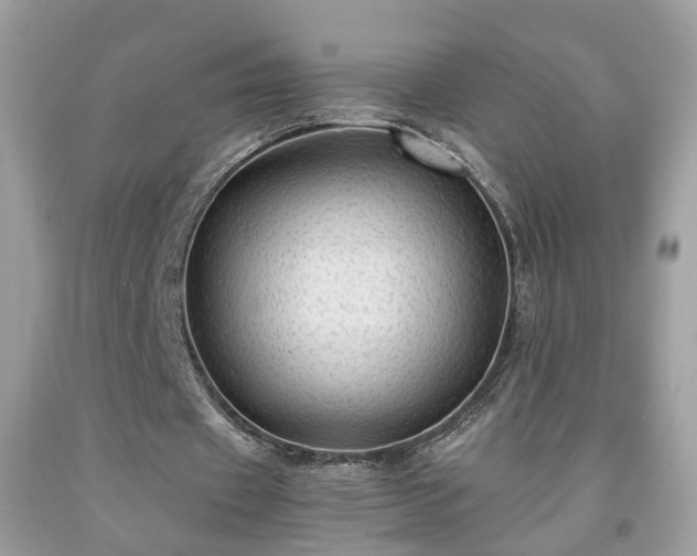 X0000091960433200709131230