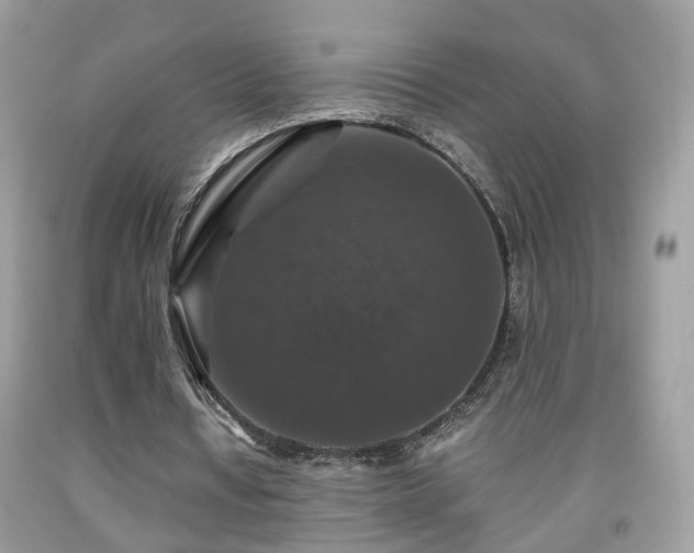 X0000091960434200709131230