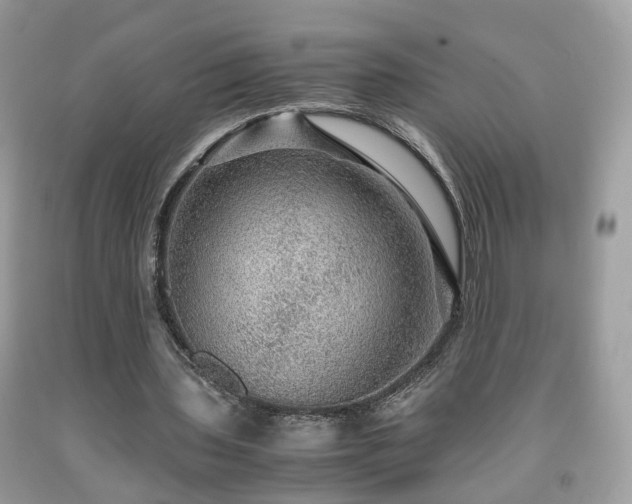 X0000091960435200709131230